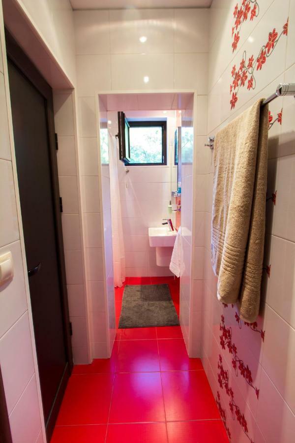Modern Apartment In The Heart Of Vidin Exteriér fotografie